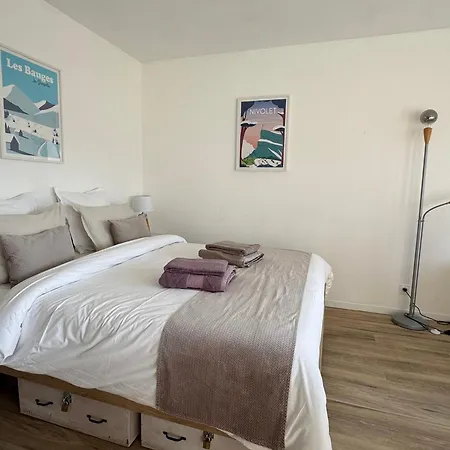 Moderne Et Cosy Avec Loggia, Vue Montagnes, Internet - Fr-1-555-114 * Aix-les-Bains